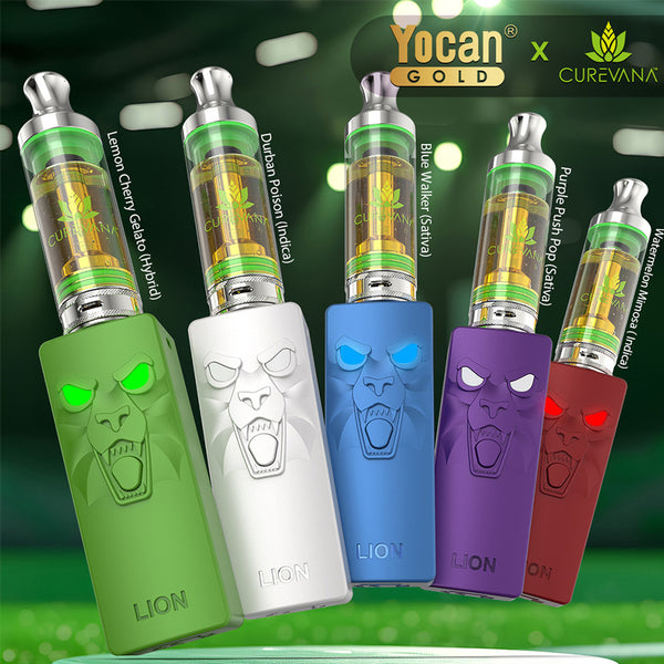 Yocan Gold X Curevana Kado Lion THC-A 3g Cartridge + 510 Battery Kit 5ct Display Box