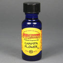 Wild Berry Scented Oil 1/2oz 1ct Bottle - Premium  from H&S WHOLESALE - Just $5! Shop now at H&S WHOLESALE