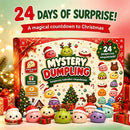 Mystery Dumpling Advent Calendar 24-Days Christmas Countdown Squishy 1ct Box