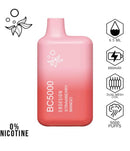 EBDESIGN Zero 0% Nic BC5000 puffs disposables vape - Premium  from H&S WHOLESALE - Just $80! Shop now at H&S WHOLESALE